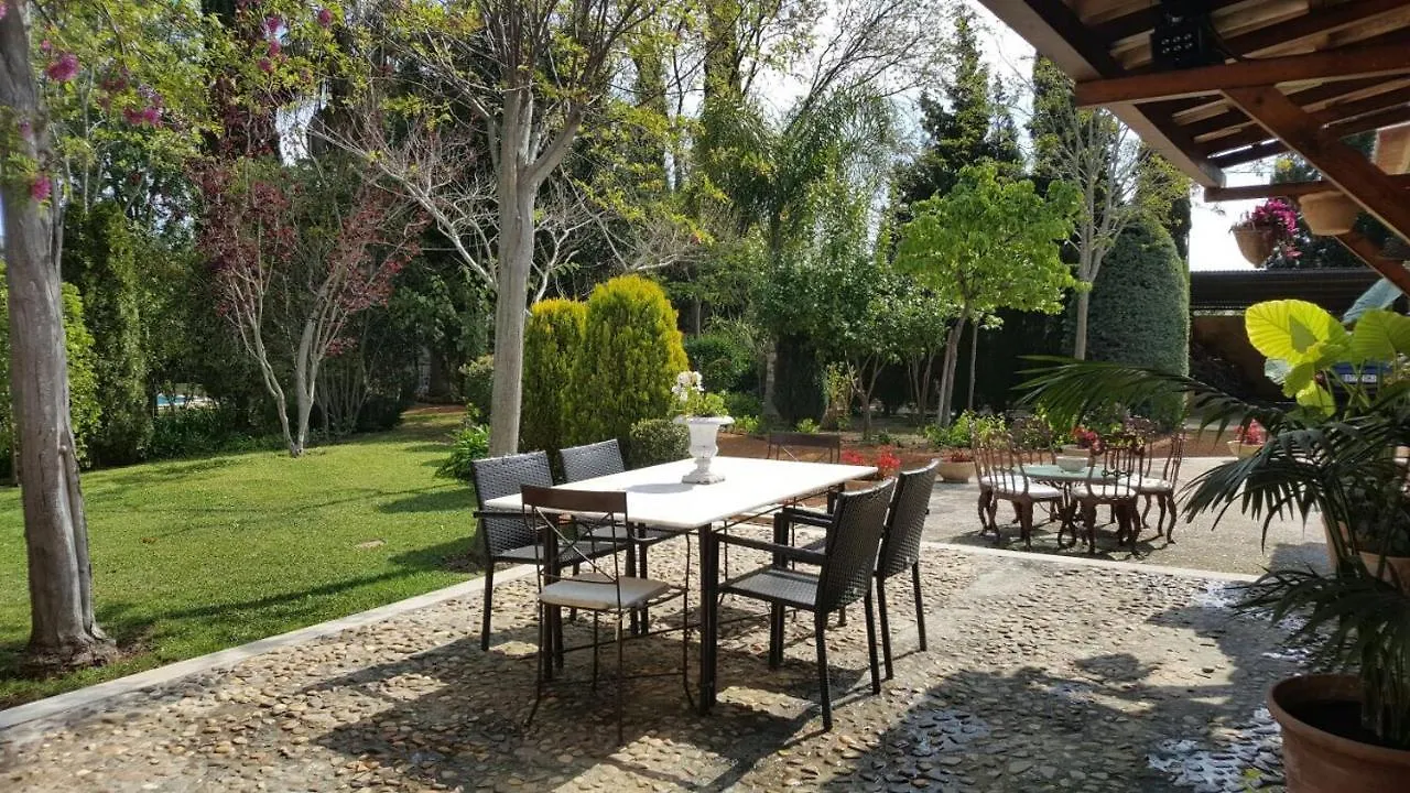 Villa Heaven Can Wait Palma de Mallorca Spanien